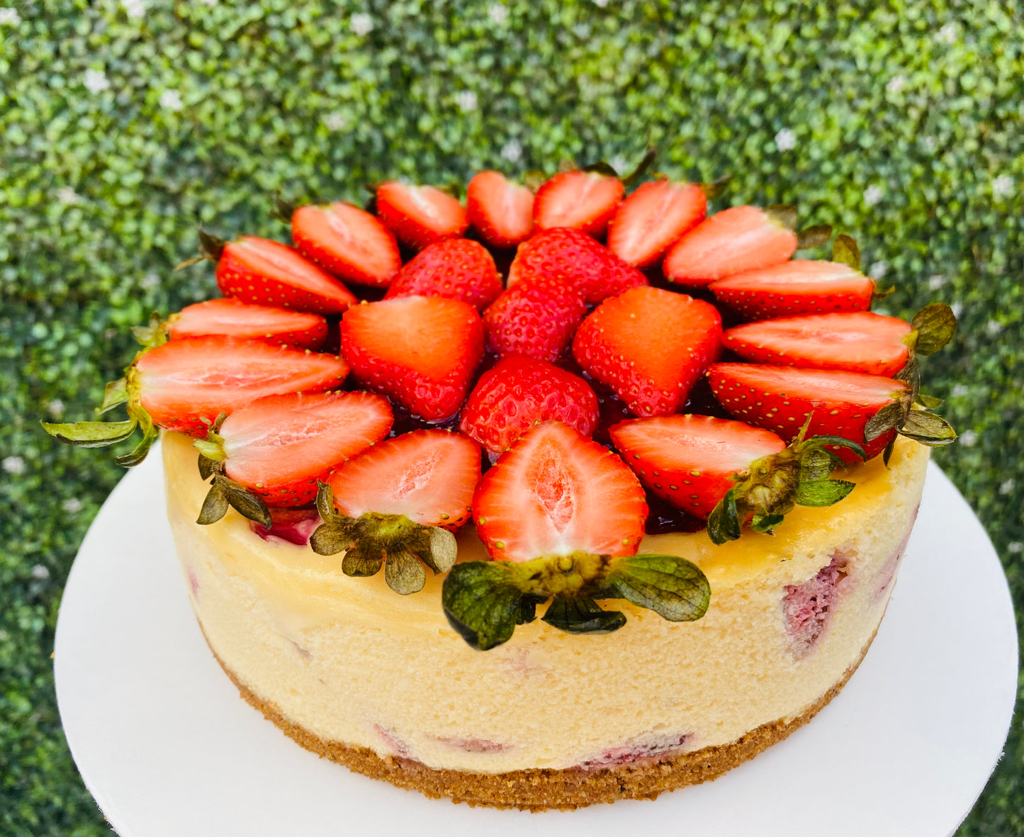 Cheesecake de Fresa